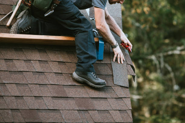 Best Commercial Roofing Services  in Lisle, IL